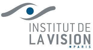 IdV logo